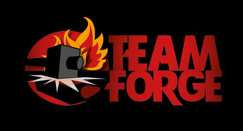 Il Team Forge rappresenterà l’Italia ai mondiali di Counter Strike: GO