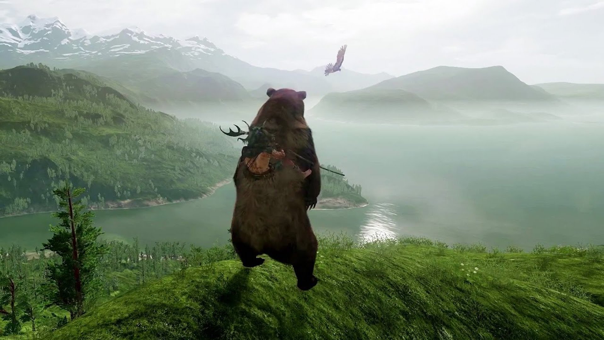 Wild: l'esclusiva PS4 sembra ormai cancellata, parla un noto insider